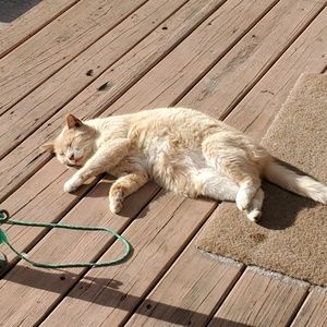 Meet your Posher, Matthew